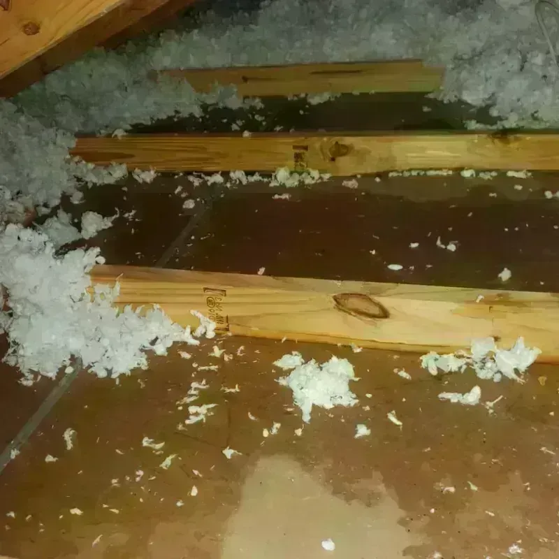 Attic Water Damage in Skidway Lake, MI