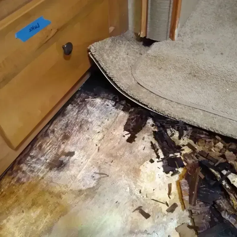 Wood Floor Water Damage in Skidway Lake, MI